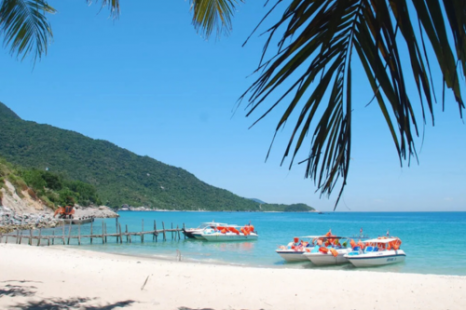 Tour Cù Lao Chàm 1 Ngày Bằng Ca Nô – Lặn Ngắm San Hô & Thưởng Thức Hải Sản Tươi Ngon Tour Cù Lao Chàm 1 Ngày Bằng Ca Nô – Lặn Ngắm San Hô & Thưởng Thức Hải Sản Tươi Ngon