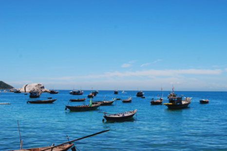 Tour Cù Lao Chàm 1 Ngày Bằng Ca Nô – Lặn Ngắm San Hô & Thưởng Thức Hải Sản Tươi Ngon Tour Cù Lao Chàm 1 Ngày Bằng Ca Nô – Lặn Ngắm San Hô & Thưởng Thức Hải Sản Tươi Ngon