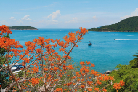 Tour Cù Lao Chàm 1 Ngày Bằng Ca Nô – Lặn Ngắm San Hô & Thưởng Thức Hải Sản Tươi Ngon Tour Cù Lao Chàm 1 Ngày Bằng Ca Nô – Lặn Ngắm San Hô & Thưởng Thức Hải Sản Tươi Ngon