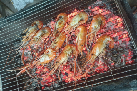 Tour Cù Lao Chàm 1 Ngày Bằng Ca Nô – Lặn Ngắm San Hô & Thưởng Thức Hải Sản Tươi Ngon Tour Cù Lao Chàm 1 Ngày Bằng Ca Nô – Lặn Ngắm San Hô & Thưởng Thức Hải Sản Tươi Ngon