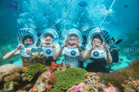 Tour Cù Lao Chàm 1 Ngày Bằng Ca Nô – Lặn Ngắm San Hô & Thưởng Thức Hải Sản Tươi Ngon Tour Cù Lao Chàm 1 Ngày Bằng Ca Nô – Lặn Ngắm San Hô & Thưởng Thức Hải Sản Tươi Ngon