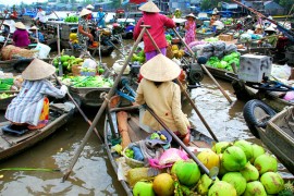 Tour Du Lịch Miền Tây 3 Ngày 2 Đêm (Cái Bè – Cần Thơ – Châu Đốc)