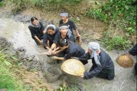 Tour Du Lịch Sài Gòn - Đồng Tháp (Vườn Cò Sa Đéc) - Vinh Sang 3 Ngày 2 Đêm