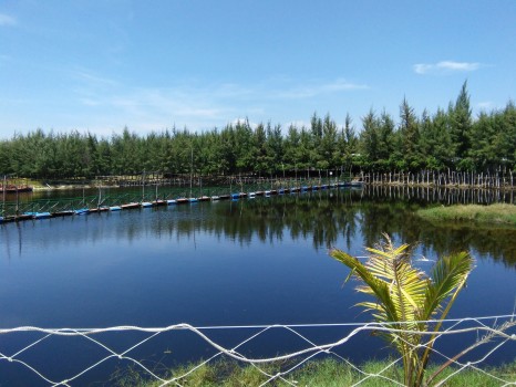 Khu du lịch Gió Biển - điểm đến “siêu hot” ở Hồ Tràm, Vũng Tàu