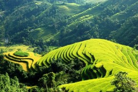 Tour Du Lịch Sài Gòn - Hà Nội - Sapa - Cát Cát - Hàm Rồng 4 Ngày 3 Đêm