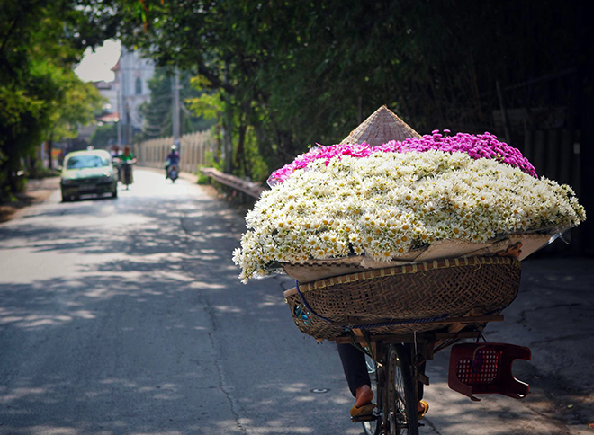 Description: Những địa điểm chụp ảnh cúc hoạ mi đẹp tinh khôi không thể bỏ lỡ ở Hà Nội - 6