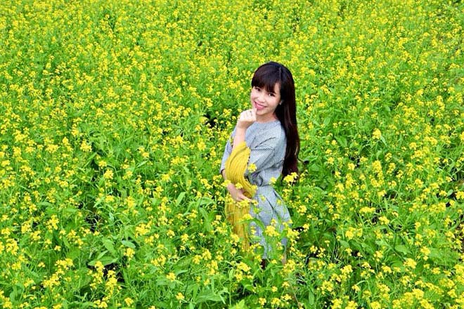 Description: Ngẩn ngơ ngắm cánh đồng hoa cải vàng nở rộ ở ngoại thành Hà Nội - 5