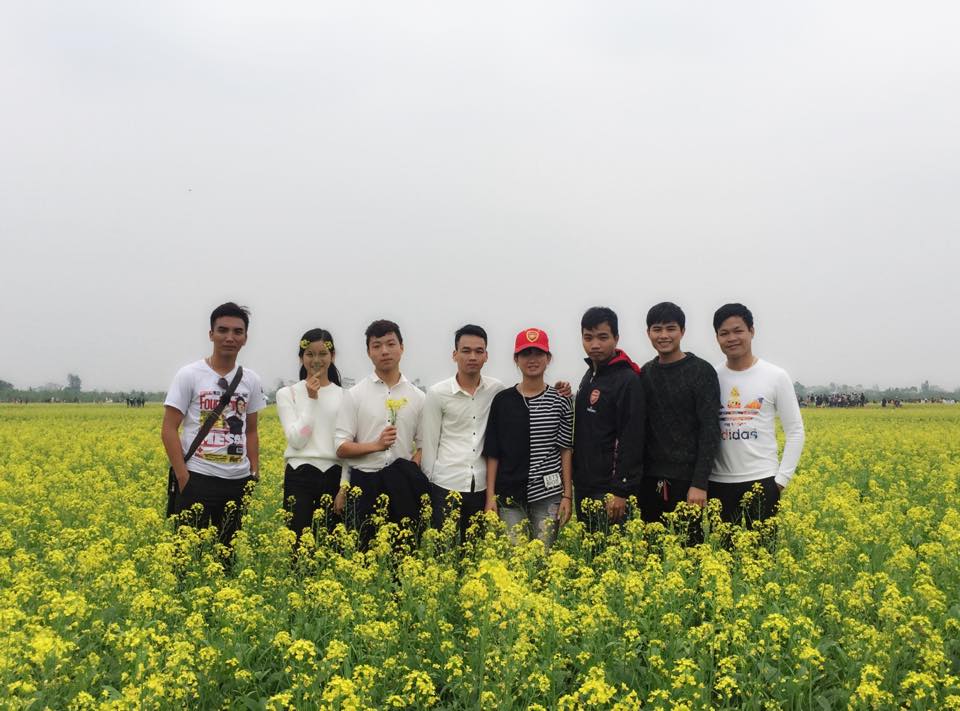 Description: Ngẩn ngơ ngắm cánh đồng hoa cải vàng nở rộ ở ngoại thành Hà Nội - 7