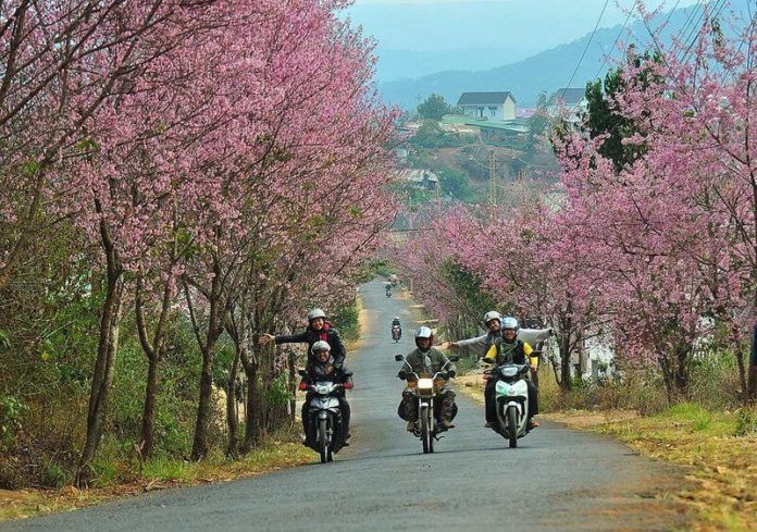 Le hoi festival Hoa Da Lat 2017
