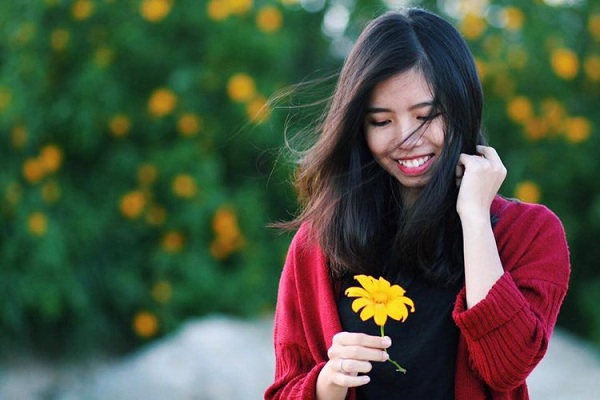 Mùa hoa dã quỳ luôn thu hút du khách đến tham quan chụp hình