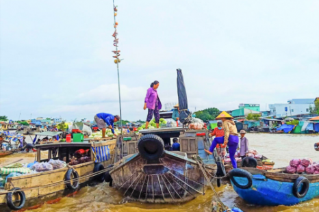 Tour CẦN THƠ 1 NGÀY (Chợ Nổi - Cồn Sơn) | Ăn Sáng Trên Sông - Vườn Trái Cây - Làm Bánh/Cá Lóc "Múa"