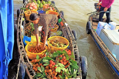 Tour CẦN THƠ 1 NGÀY (Chợ Nổi - Cồn Sơn) | Ăn Sáng Trên Sông - Vườn Trái Cây - Làm Bánh/Cá Lóc "Múa"