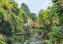 Tour Du Lịch Sài Gòn - Miền Tây 4 Ngày 3 Đêm | Củ Chi - Mỹ Tho - Bến Tre - Cần Thơ