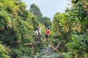 Tour Sài Gòn - Miền Tây - Củ Chi 4 Ngày 3 Đêm
