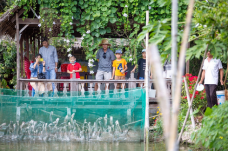 Tour Miền Tây Đồng Tháp - Cần Thơ 2 Ngày 1 Đêm | Làng hoa - Chợ nổi - Cồn Sơn - Chùa & Nhà cổ