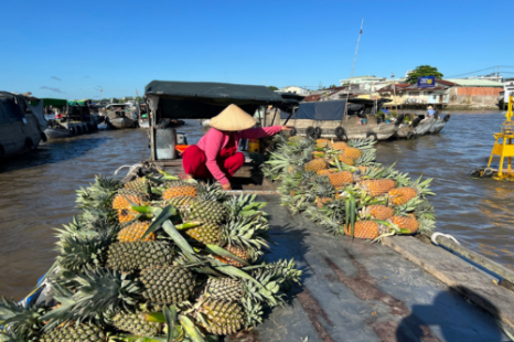 Tour Miền Tây Đồng Tháp - Cần Thơ 2 Ngày 1 Đêm | Làng hoa - Chợ nổi - Cồn Sơn - Chùa & Nhà cổ