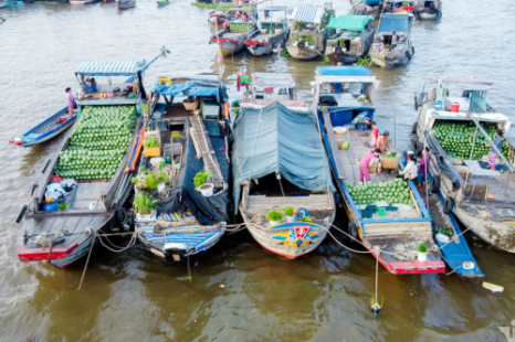 Tour Miền Tây Đồng Tháp - Cần Thơ 2 Ngày 1 Đêm | Làng hoa - Chợ nổi - Cồn Sơn - Chùa & Nhà cổ