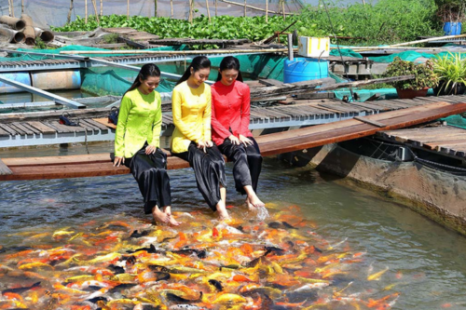 Tour Miền Tây Đồng Tháp - Cần Thơ 2 Ngày 1 Đêm | Làng hoa - Chợ nổi - Cồn Sơn - Chùa & Nhà cổ