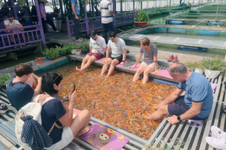 Tour KH từ Cần Thơ chợ nổi - cồn Sơn (1 ngày) | ăn sáng trên sông - "mát - xa cá" - hái trái cây - làm cốm - chèo đò Tour KH từ Cần Thơ chợ nổi - cồn Sơn (1 ngày) | ăn sáng trên sông - "mát - xa cá" - hái trái cây - làm cốm - chèo đò