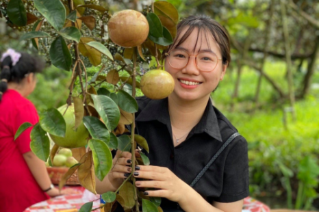 Tour Đà Nẵng - Đà Lạt - Miền Tây (Đồng Tháp - Vĩnh Long - Cần Thơ) 5 Ngày 4 Đêm