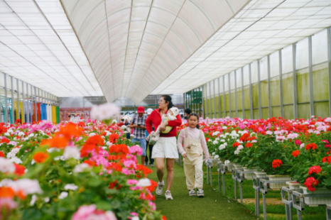 Tour Đà Nẵng - Đà Lạt - Miền Tây (Đồng Tháp - Vĩnh Long - Cần Thơ) 5 Ngày 4 Đêm
