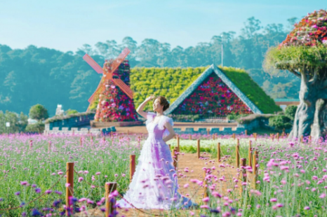 Tour Đà Nẵng - Đà Lạt - Miền Tây (Đồng Tháp - Vĩnh Long - Cần Thơ) 5 Ngày 4 Đêm