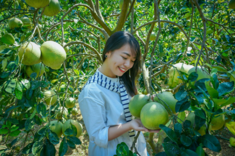 Tour Đà Nẵng - Đà Lạt - Miền Tây (Đồng Tháp - Vĩnh Long - Cần Thơ) 5 Ngày 4 Đêm