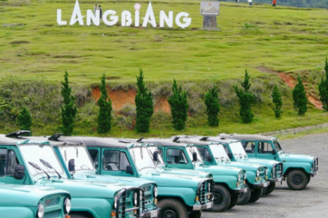 Tour Sài Gòn - Đà Lạt 2N1Đ | Langbiang - Đồi Robin - Vườn Dâu - Thác Datanla - Crazy house - Thiền Viện Trúc Lâm