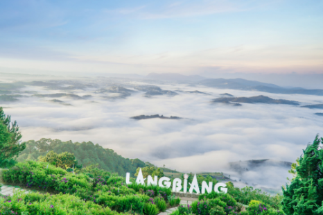 Tour Sài Gòn - Đà Lạt 2N1Đ | Langbiang - Đồi Robin - Vườn Dâu - Thác Datanla - Crazy house - Thiền Viện Trúc Lâm