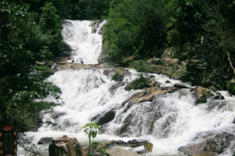 Tour Du Lịch Sài Gòn - Mũi Né - Đà Lạt 4 Ngày 3 Đêm