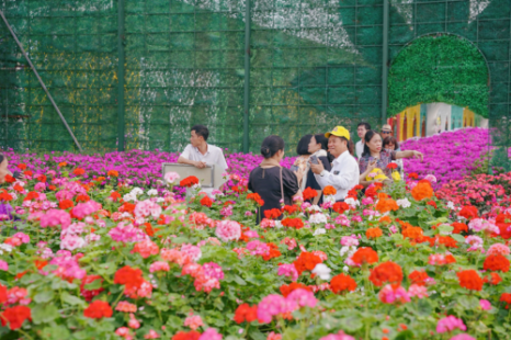 Tour Du Lịch Sài Gòn - Mũi Né - Đà Lạt 4 Ngày 3 Đêm