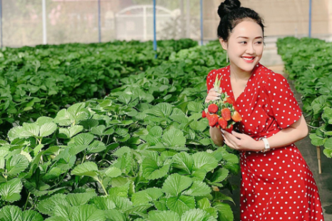 Tour Du Lịch Sài Gòn - Đà Lạt - Mũi Né 4 Ngày 3 Đêm