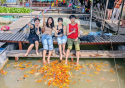 Tour Miền Tây 3 Tỉnh - Vườn Trái Cây 2N1Đ | Combo: CHIÊM NGƯỠNG + SELFIE + HÀNH HƯƠNG