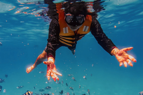 Tour Nha Trang 1 Ngày 3 Đảo | Ngắm San Hô - Làng Chài - Vui Chơi Giải Trí - Tắm Bùn Khoáng/Tắm Biển Hòn Tằm Tour Nha Trang 1 Ngày 3 Đảo | Ngắm San Hô - Làng Chài - Vui Chơi Giải Trí - Tắm Bùn Khoáng/Tắm Biển Hòn Tằm