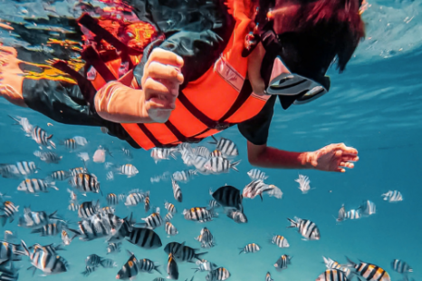 Tour Nha Trang 1 Ngày 3 Đảo | Ngắm San Hô - Làng Chài - Vui Chơi Giải Trí - Tắm Bùn Khoáng/Tắm Biển Hòn Tằm Tour Nha Trang 1 Ngày 3 Đảo | Ngắm San Hô - Làng Chài - Vui Chơi Giải Trí - Tắm Bùn Khoáng/Tắm Biển Hòn Tằm