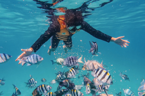 Tour Nha Trang 1 Ngày 3 Đảo | Ngắm San Hô - Làng Chài - Vui Chơi Giải Trí - Tắm Bùn Khoáng/Tắm Biển Hòn Tằm Tour Nha Trang 1 Ngày 3 Đảo | Ngắm San Hô - Làng Chài - Vui Chơi Giải Trí - Tắm Bùn Khoáng/Tắm Biển Hòn Tằm