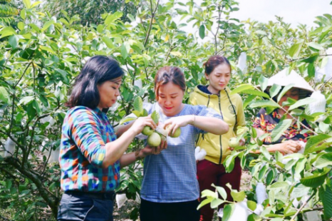 Tour 9 Tỉnh MIỀN TÂY 5N4Đ | Đi Trọn Cửu Long - Cây Trái Sông Nước - Hương Sắc Miền Quê
