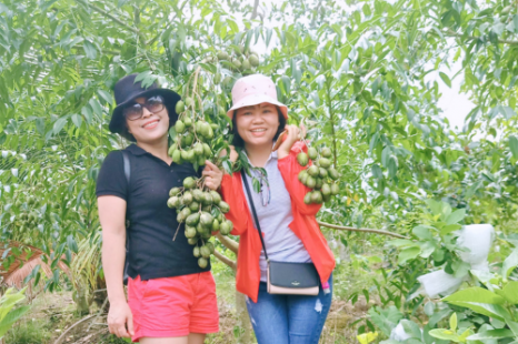 Tour Miền Tây MỸ THO - BẾN TRE 1 Ngày | Cù Lao - Lò Nghề - Vườn Trái Cây - Chèo Xuồng Ba Lá - Chùa Vĩnh Tràng