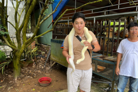 Tour 9 Tỉnh MIỀN TÂY 5N4Đ | Đi Trọn Cửu Long - Cây Trái Sông Nước - Hương Sắc Miền Quê