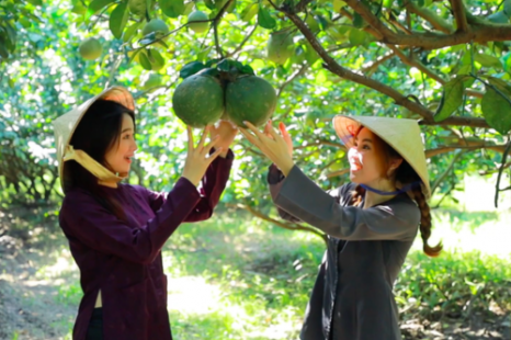 Tour Miền Tây MỸ THO - BẾN TRE 1 Ngày | Cù Lao - Lò Nghề - Vườn Trái Cây - Chèo Xuồng Ba Lá - Chùa Vĩnh Tràng