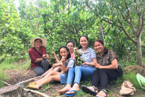Tour Miền Tây MỸ THO - BẾN TRE 1 Ngày | Cù Lao - Lò Nghề - Vườn Trái Cây - Chèo Xuồng Ba Lá - Chùa Vĩnh Tràng