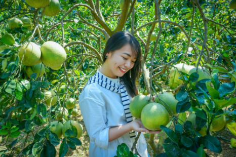 Tour Miền Tây MỸ THO - BẾN TRE 1 Ngày | Cù Lao - Lò Nghề - Vườn Trái Cây - Chèo Xuồng Ba Lá - Chùa Vĩnh Tràng