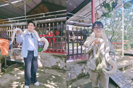 Tour Miền Tây MỸ THO - BẾN TRE 1 Ngày | Cù Lao - Lò Nghề - Vườn Trái Cây - Chèo Xuồng Ba Lá - Chùa Vĩnh Tràng