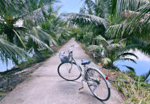  Tour Du Lịch Cộng Đồng Cồn Chim Trà Vinh 1 Ngày | Về Miền Tây Sống Lại Ký Ức Tuổi Thơ