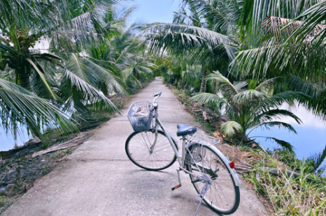  Tour Du Lịch Cộng Đồng Cồn Chim Trà Vinh 1 Ngày | Về Miền Tây Sống Lại Ký Ức Tuổi Thơ