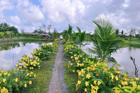  Tour Du Lịch Cộng Đồng Cồn Chim Trà Vinh 1 Ngày | Về Miền Tây Sống Lại Ký Ức Tuổi Thơ