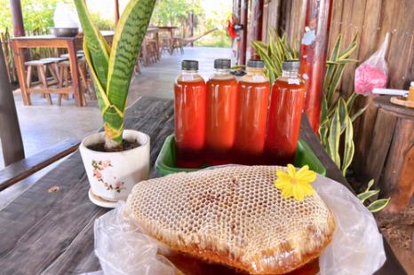  Tour Du Lịch Cộng Đồng Cồn Chim Trà Vinh 1 Ngày | Về Miền Tây Sống Lại Ký Ức Tuổi Thơ