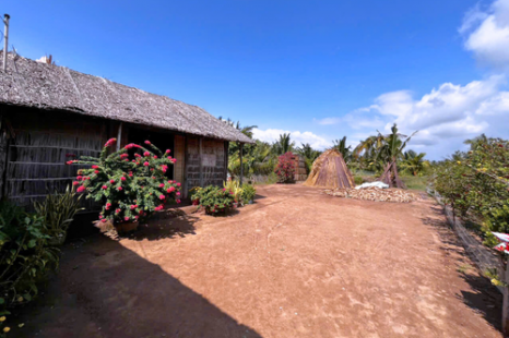  Tour Du Lịch Cộng Đồng Cồn Chim Trà Vinh 1 Ngày | Về Miền Tây Sống Lại Ký Ức Tuổi Thơ