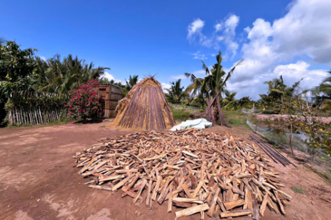  Tour Du Lịch Cộng Đồng Cồn Chim Trà Vinh 1 Ngày | Về Miền Tây Sống Lại Ký Ức Tuổi Thơ