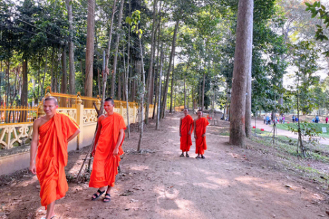  Tour Du Lịch Cộng Đồng Cồn Chim Trà Vinh 1 Ngày | Về Miền Tây Sống Lại Ký Ức Tuổi Thơ